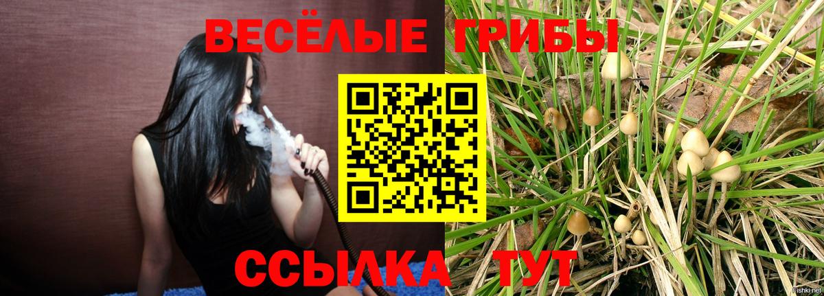 Псилоцибиновые грибы MAGIC MUSHROOMS Назарово